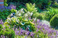 Ogrodowe trendy – jakie rośliny na wiosnę 2022?