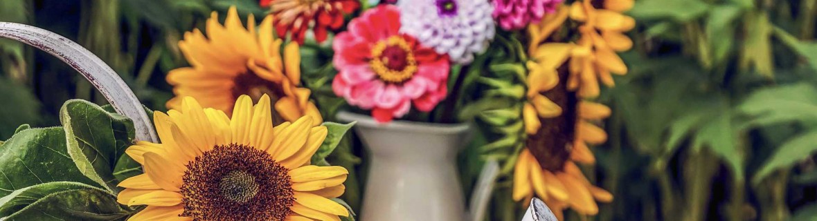 Bukiety na ogrodowy stół – kwiatowe dekoracje u schyłku lata