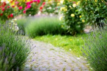Ścieżki w ogrodzie – jak je zaplanować