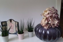 Zasuszone hortensje – jesienny motyw w dekoracjach
