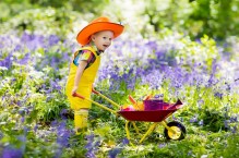 Na miarę małych ogrodników – narzędzia dla dzieci