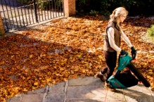 Odkurzacz ogrodowy – pomocny w usuwaniu liści