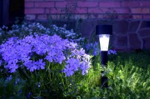 Lampki solarne – darmowe światło w ogrodzie