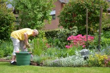 Zadbany ogród – prace pielęgnacyjne późną wiosną