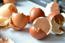 Nawóz ze skorupek jajek – doskonały nawóz wapniowy