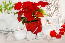 Szybka i wygodna dekoracja świąteczna – osłonka z motywem bożonarodzeniowym