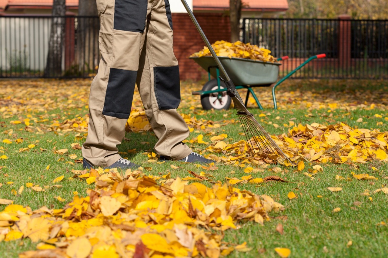 Yard cleaning. Уборка листьев. Уборка листьев в саду. Уборка в саду осенью. Уборка осенних листьев.
