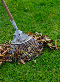 Porządki w ogrodzie