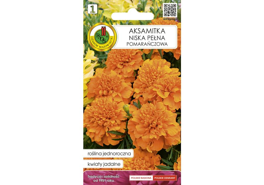 Zdjęcie: Aksamitka pełna niska pomarańczowa 0,5 g PNOS