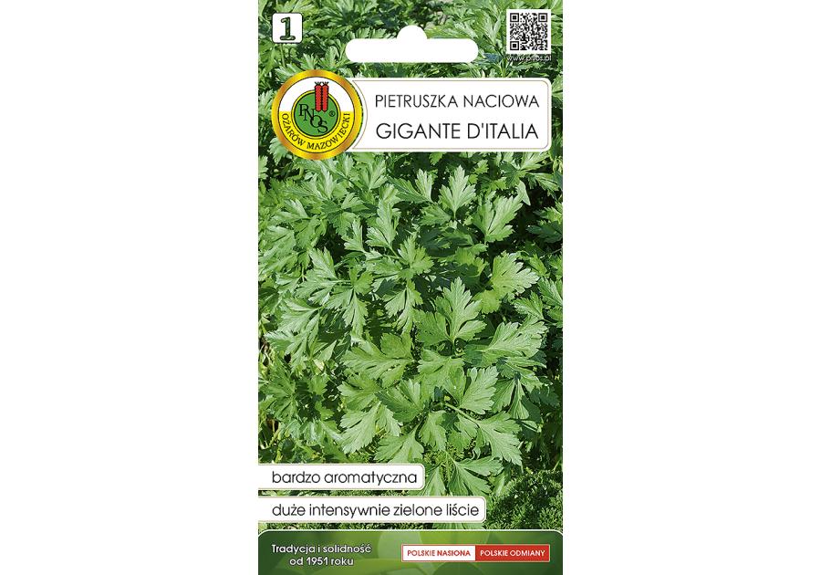 Zdjęcie: Pietruszka naciowa Gigante Ditalia 2 g PNOS
