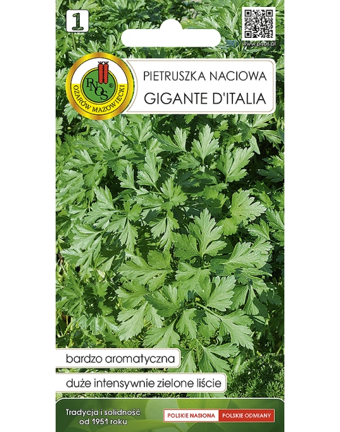 Zdjęcie: Pietruszka naciowa Gigante Ditalia 2 g PNOS