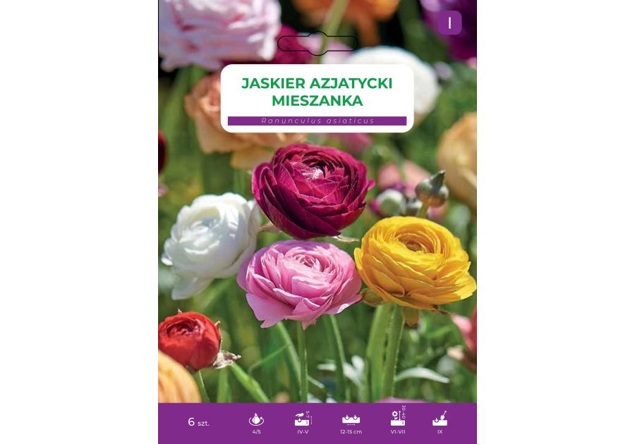 Zdjęcie: Jaskier azjatycki mieszanka LEGUTKO