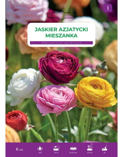 Zdjęcie: Jaskier azjatycki mieszanka LEGUTKO