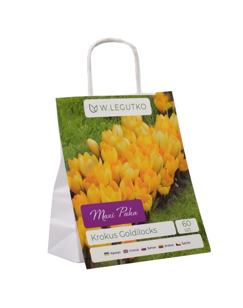 Zdjęcie: Krokus mieszanka Maxi Paka W.LEGUTKO