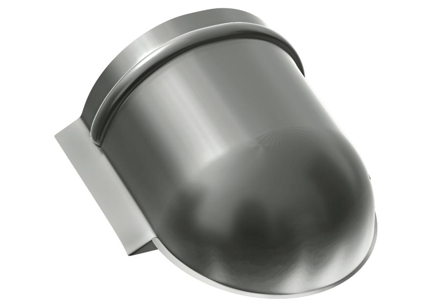 Zdjęcie: Denko gąsiora kalenicowego BP2.eu