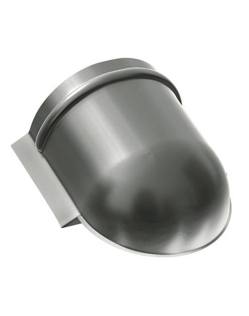 Zdjęcie: Denko gąsiora kalenicowego BP2.eu