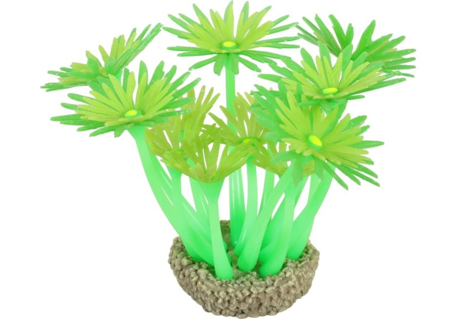 Zdjęcie: Ozdoba do akwarium Flowers 1 zielona 8x8 cm ZOLUX