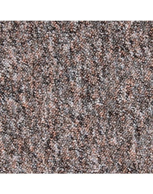 Zdjęcie: Wykładzina dywanowa Bingo 300 6810 Felt brąz TIMZO