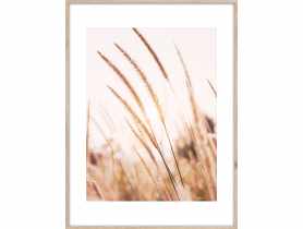 Obraz Artbox Digi 50x70 cm Grasses I STYLER