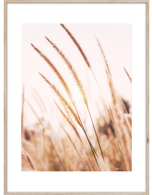 Zdjęcie: Obraz Artbox Digi 50x70 cm Grasses I STYLER
