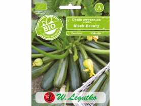 Dynia Black Beauty zielona  W. LEGUTKO