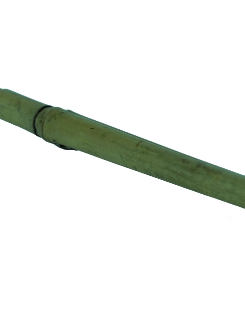 Zdjęcie: Tyczka bambusowa naturalna Bamboo fi8-10 mm x 0,9 m, naturalny NORTENE