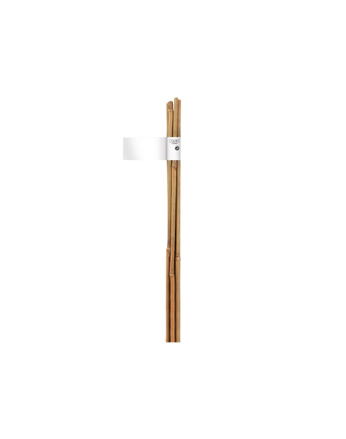 Zdjęcie: Tyczka bambusowa naturalna Bamboo fi8-10 mm x 0,9 m, naturalny NORTENE