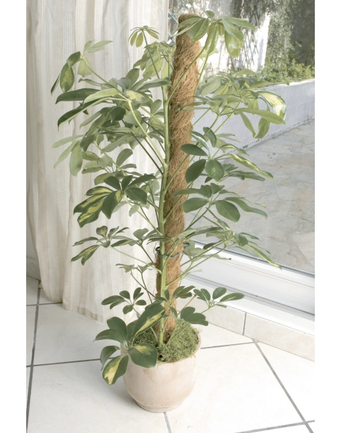 Zdjęcie: Tyczka kokosowa Stake Coco fi45 mm x 1,5 m, naturalny NORTENE