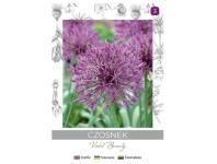 Zdjęcie: Czosnek Violet Beauty fioletowy 4 sztuki W.LEGUTKO