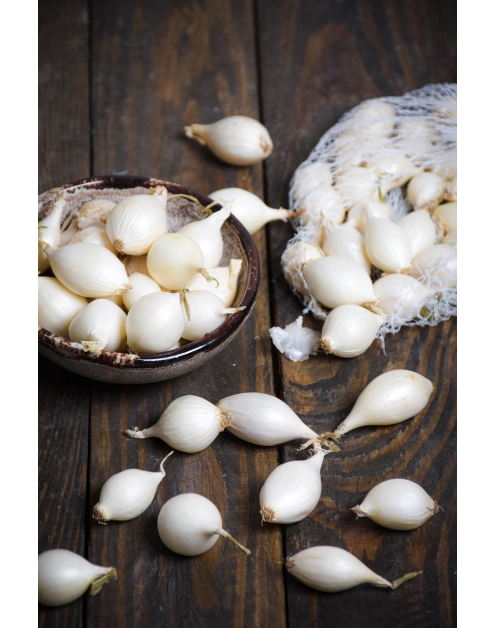 Zdjęcie: Cebula dymka White Snowball 250 g LEGUTKO