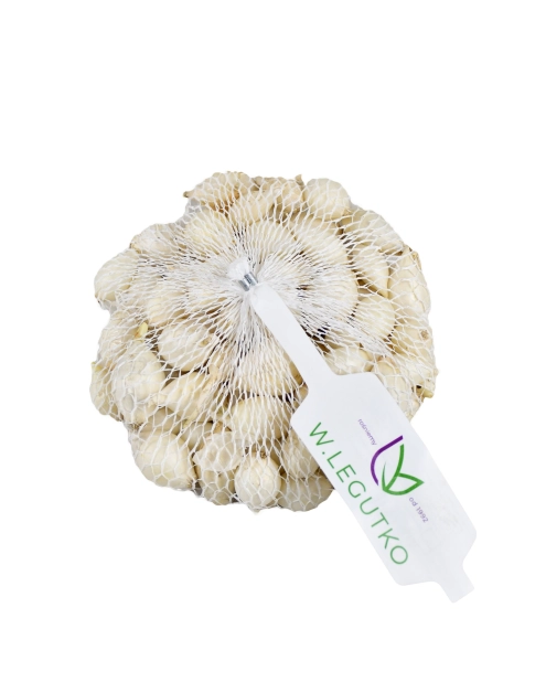 Zdjęcie: Cebula dymka White Snowball 250 g LEGUTKO