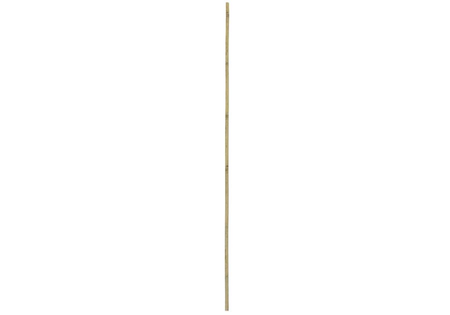 Zdjęcie: Tyczka bambusowa 150 cm, średnica 24-26 mm RN DYSTRYBUCJA