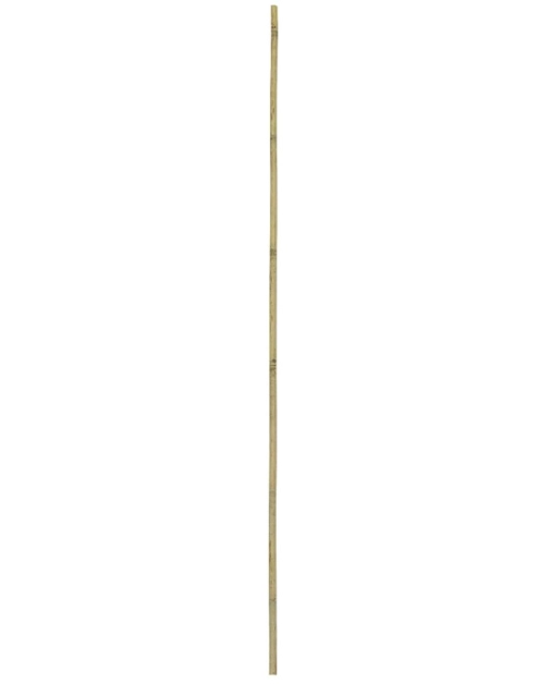 Zdjęcie: Tyczka bambusowa 150 cm, średnica 24-26 mm RN DYSTRYBUCJA