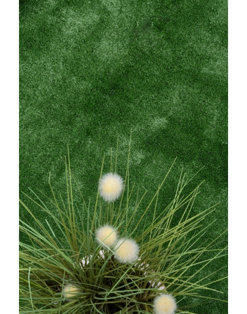 Zdjęcie: Sztuczna trawa Arizona 2 m, 7 mm MULTI-DECOR