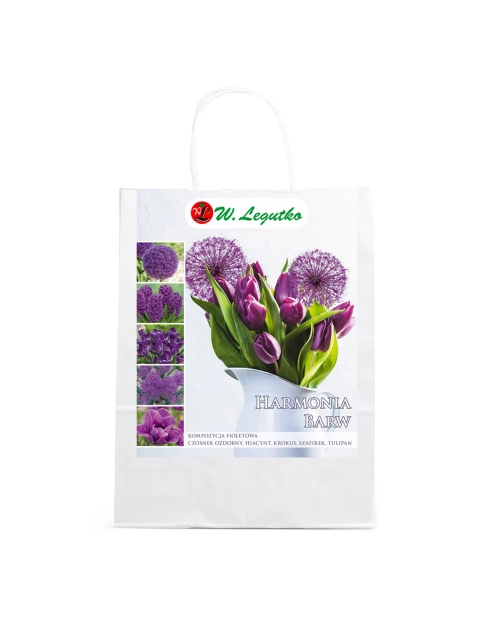 Zdjęcie: Kompozycja fioletowa W.LEGUTKO