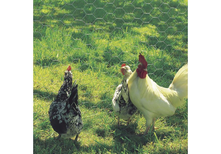 Zdjęcie: Siatka druciana trzykrotnie skręcana GALVANEX 19, 0,5x10m, galwanizowany NORTENE