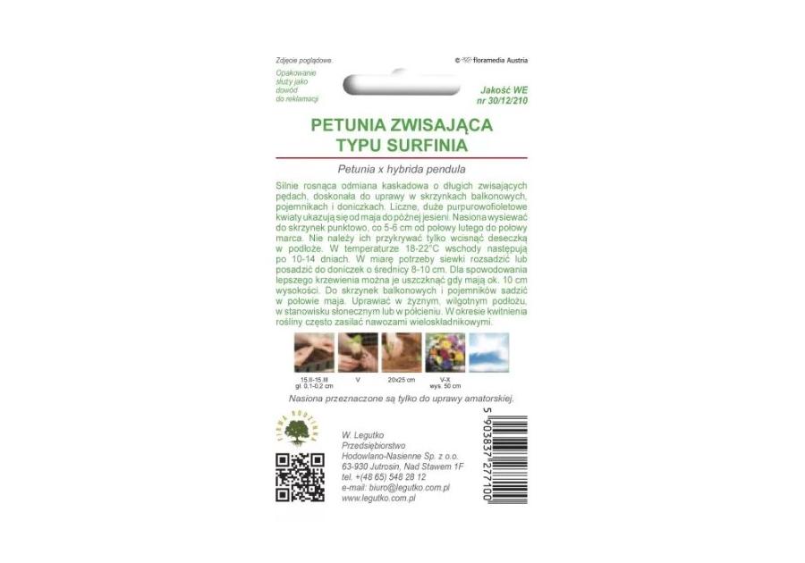 Zdjęcie: Petunia ogrodowa Rubina F2 o pędach zwisających purpurowo-fioletowa 0,01 g W.LEGUTKO