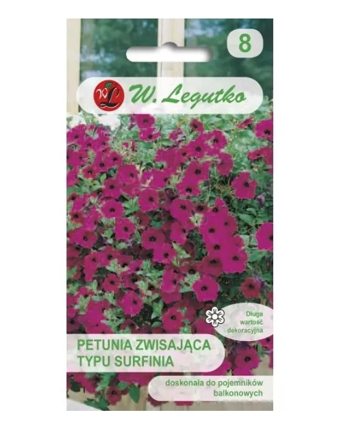 Zdjęcie: Petunia ogrodowa Rubina F2 o pędach zwisających purpurowo-fioletowa 0,01 g W.LEGUTKO