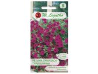 Zdjęcie: Petunia ogrodowa Rubina F2 o pędach zwisających purpurowo-fioletowa 0,01 g W.LEGUTKO
