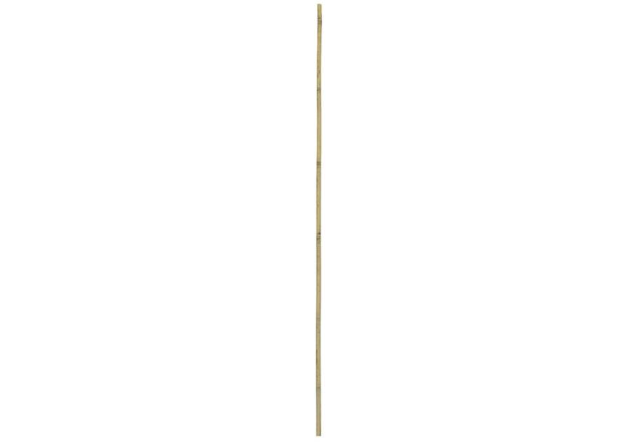 Zdjęcie: Tyczka bambusowa 150 cm RN DYSTRYBUCJA
