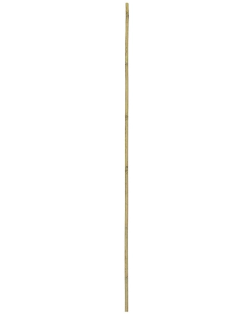 Zdjęcie: Tyczka bambusowa 150 cm RN DYSTRYBUCJA