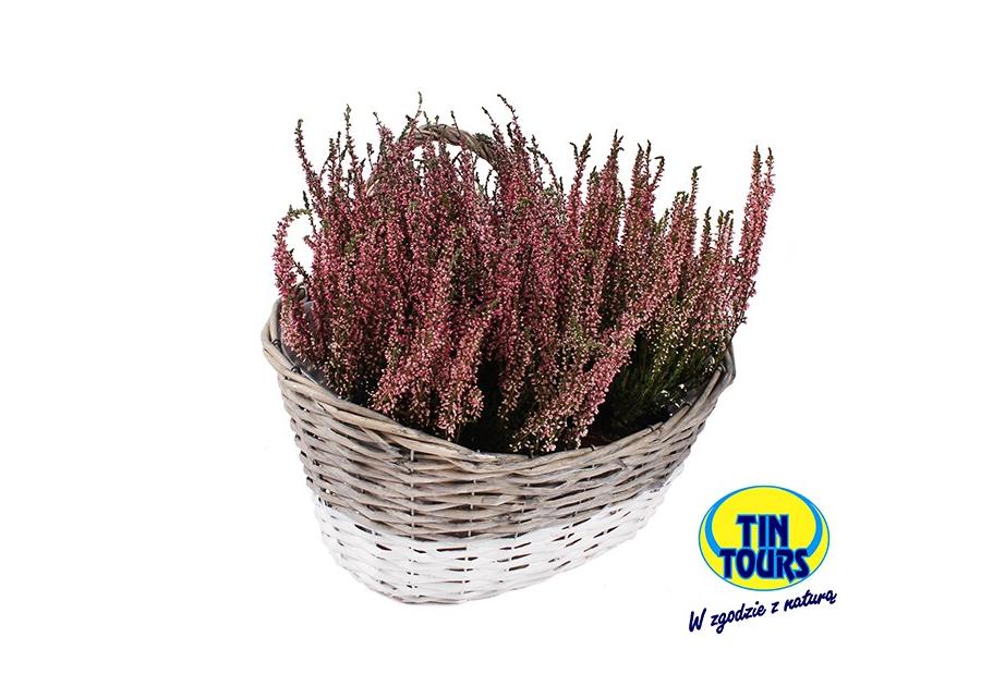 Zdjęcie: Kosz na ścianę do obsadzania kwiatków 39x29x14/31 cm TIN TOURS