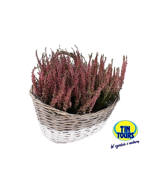 Zdjęcie: Kosz na ścianę do obsadzania kwiatków 39x29x14/31 cm TIN TOURS