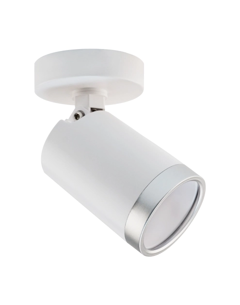 Zdjęcie: Oprawa ścienno-sufitowa Spot Best 1 x GU10 – biały/srebrny VOLTENO