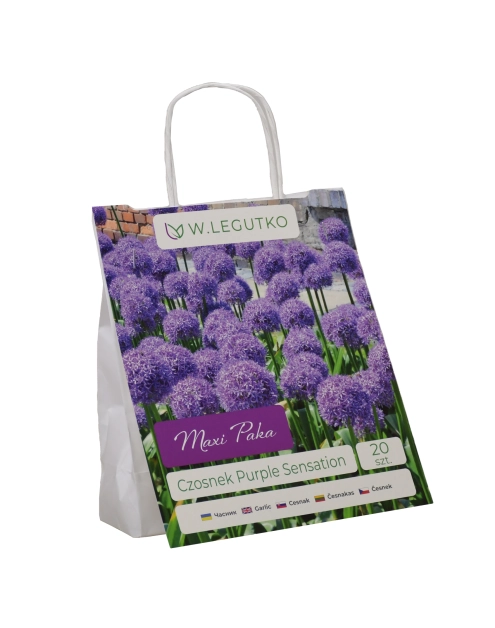Zdjęcie: Czosnek Purple Sensation Maxi Paka W.LEGUTKO