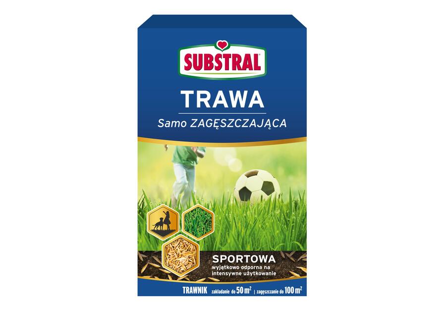 Zdjęcie: Trawa sportowa 1 kg SUBSTRAL