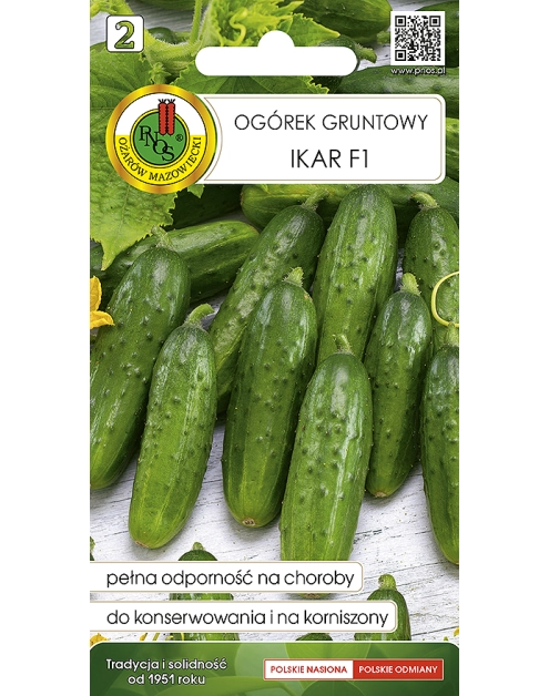 Zdjęcie: Ogórek gruntowy Ikar F1 2 g PNOS