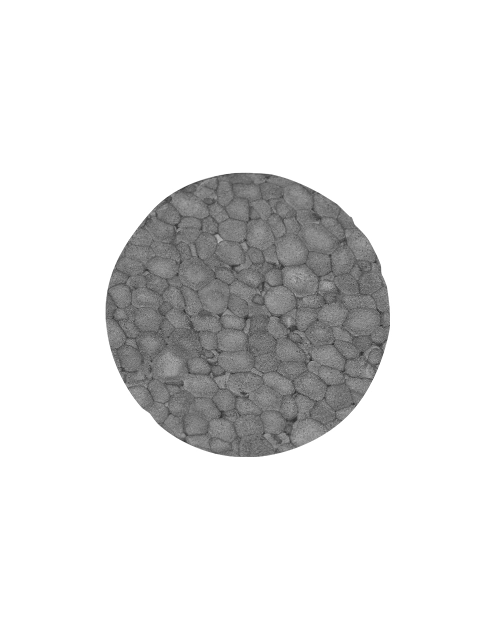 Zdjęcie: Zatyczka styropianowa CAP 63x10 mm szara 100 szt. RAWLPLUG