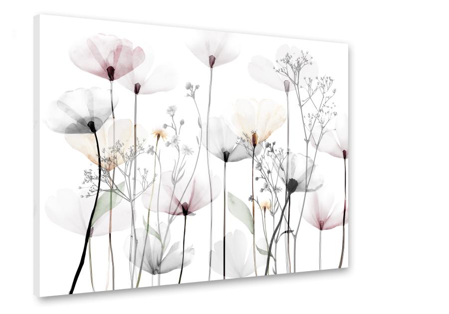 Zdjęcie: Obraz Canvas Flowers 75x100 cm St542 Modern STYLER