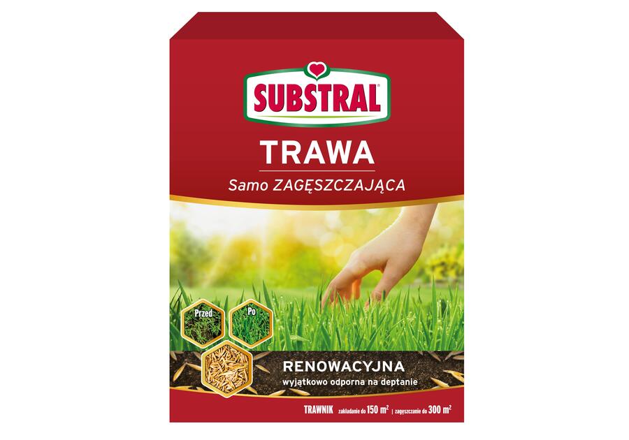 Zdjęcie: Trawa renowacyjna 3 kg SUBSTRAL